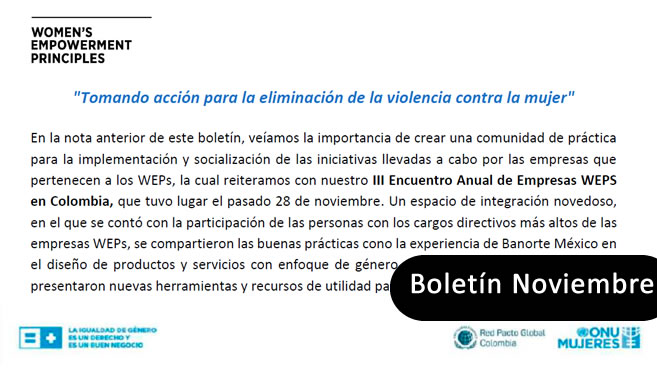  Boletín de noviembre: Tomando acción para la eliminación de la violencia contra la mujer