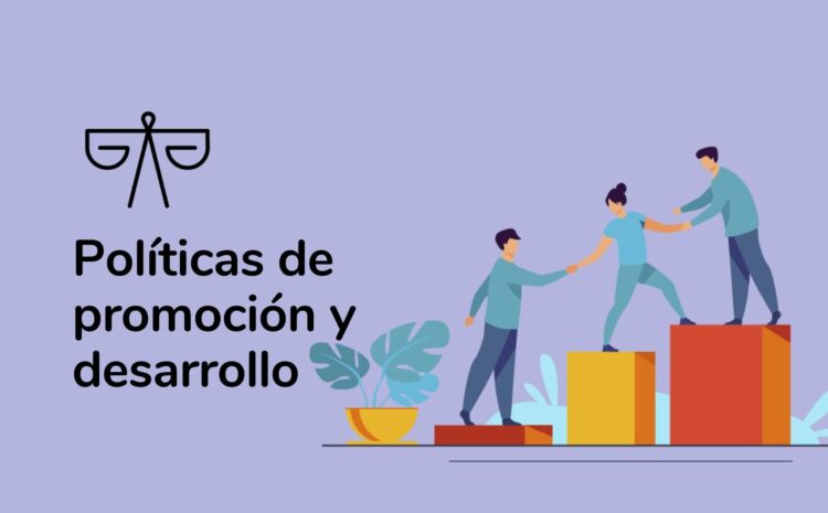  Políticas de promoción y desarrollo